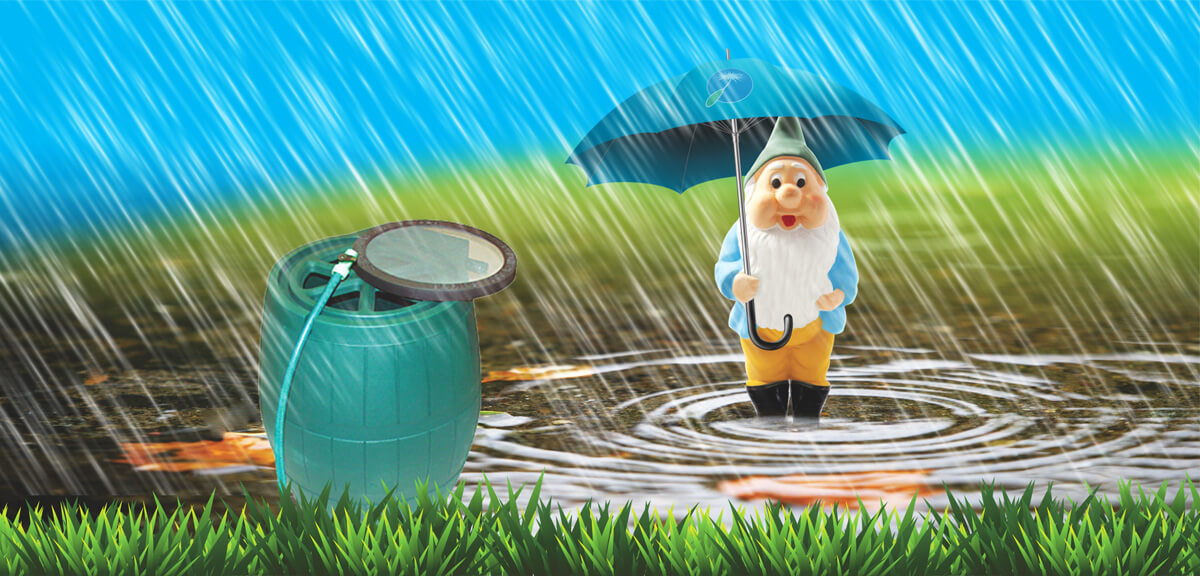 rain barrel image